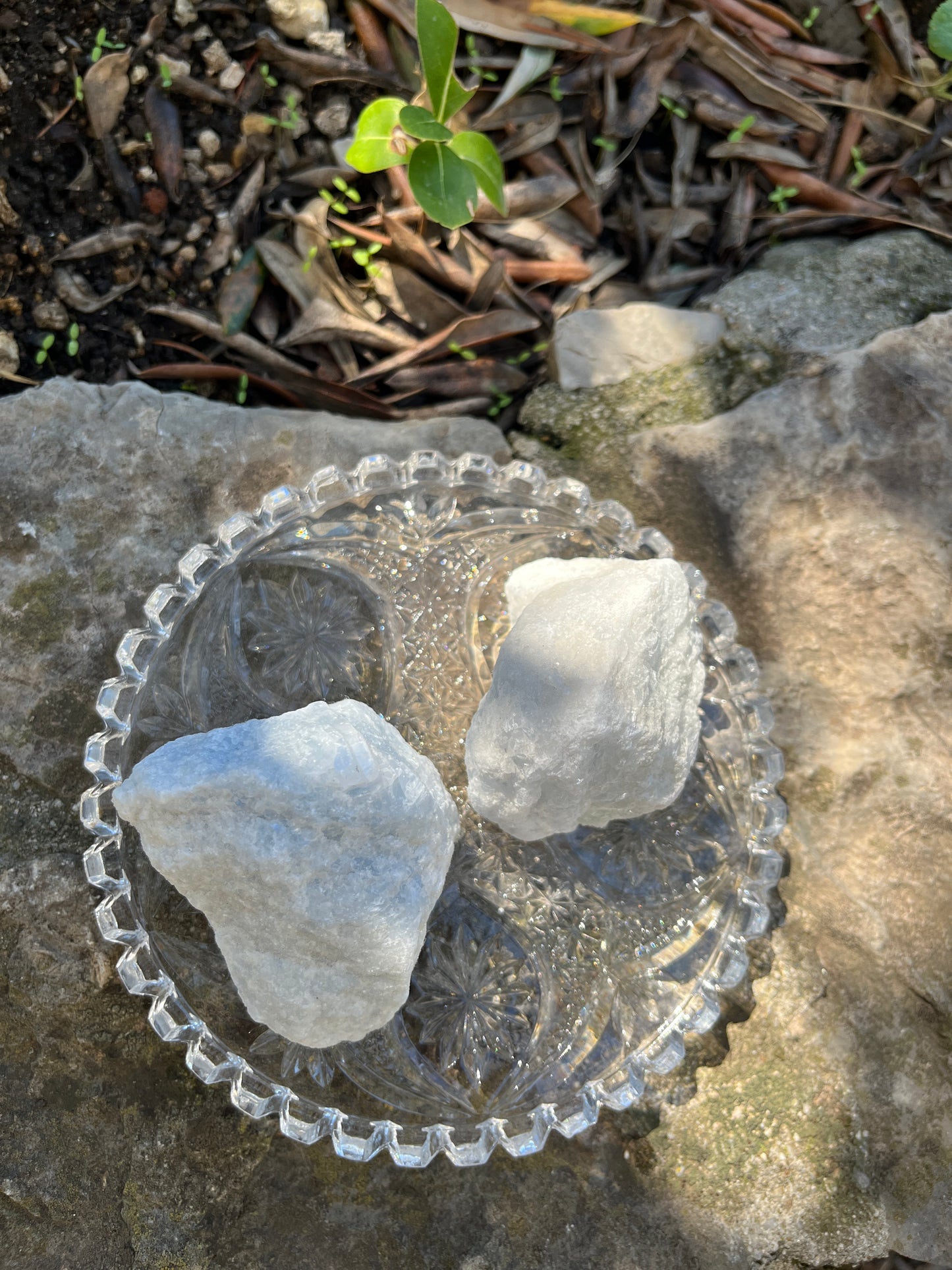 pierre naturelle de Calcite bleue posé sur une coupelle de cristal